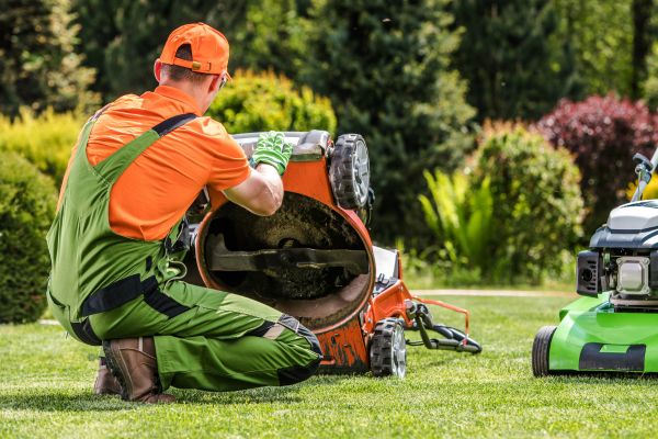 low maintenance lawn care