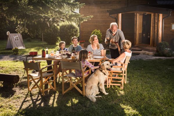 pet-friendly backyard design